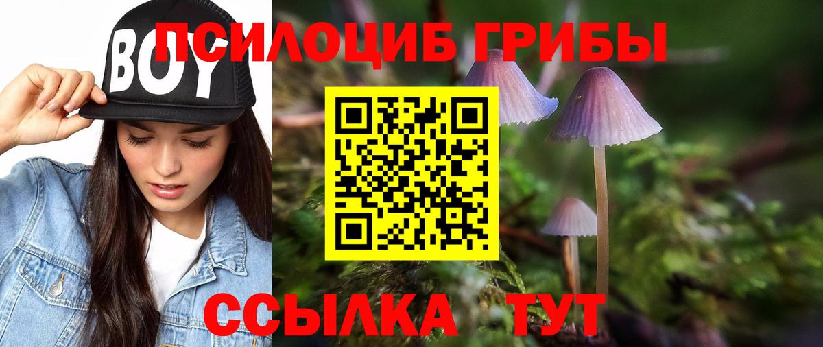 Галлюциногенные грибы Psilocybine cubensis Пыть-Ях