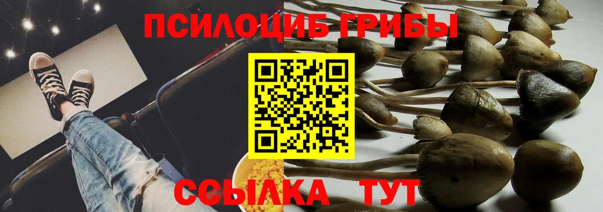 Галлюциногенные грибы Cubensis  где можно купить   Пыть-Ях  Вход с VPN 